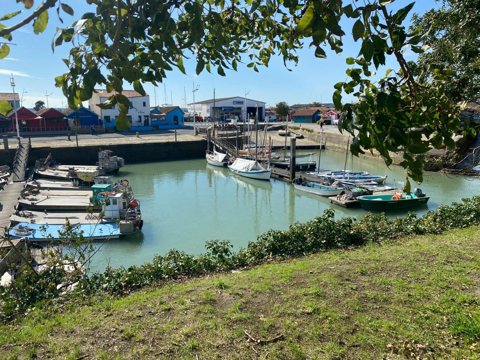 Les Amareyeurs - Ile D'Oleron - Maison Classee 3 Etoiles Avec Piscine - Clim - Velos Le Château-dʼOléron Kültér fotó